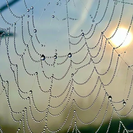 Iparagirre Apartment *